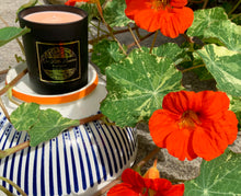 Load image into Gallery viewer, Pumpkin Spice Candle & Diffuser