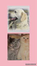 Load image into Gallery viewer, Deodoriser spray for pet beds/rooms - For pampered pets