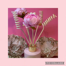 Load image into Gallery viewer, Pink Room Diffusers